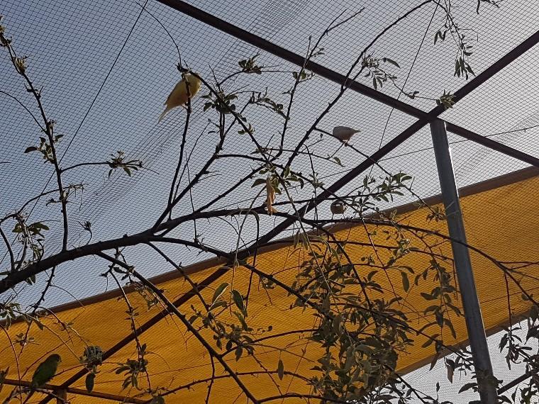 波索爱尔康 Complejo Rural Ibipozo旅馆 外观 照片